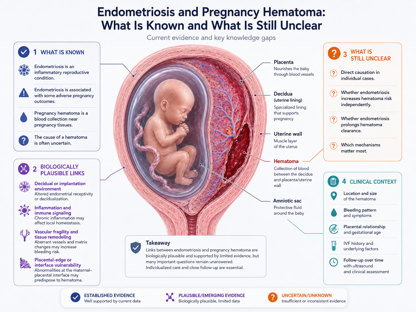 Endometriosis and Pregnancy Hematoma What Is Known and Unclear