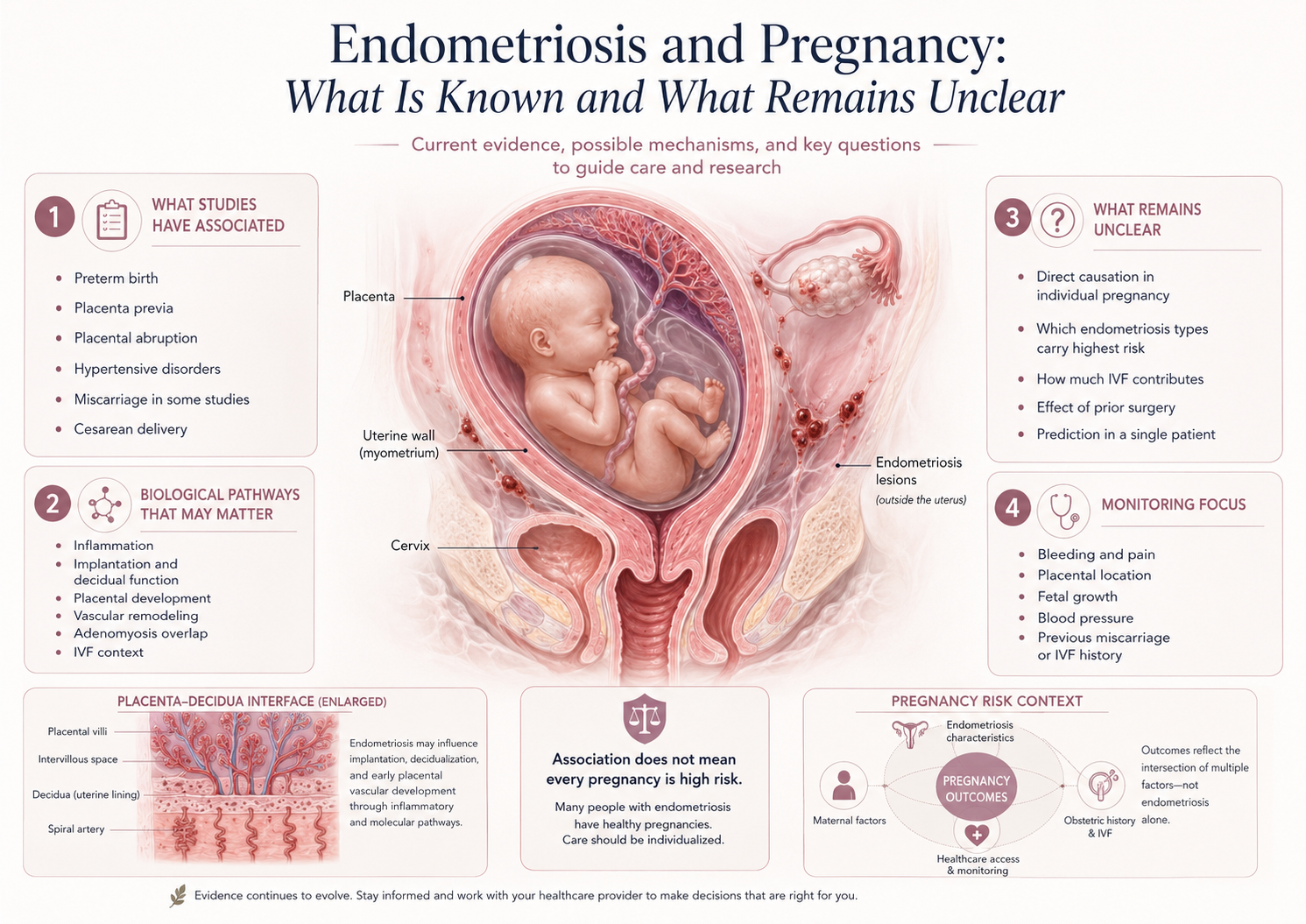 Endometriosis and Pregnancy, What Is Known