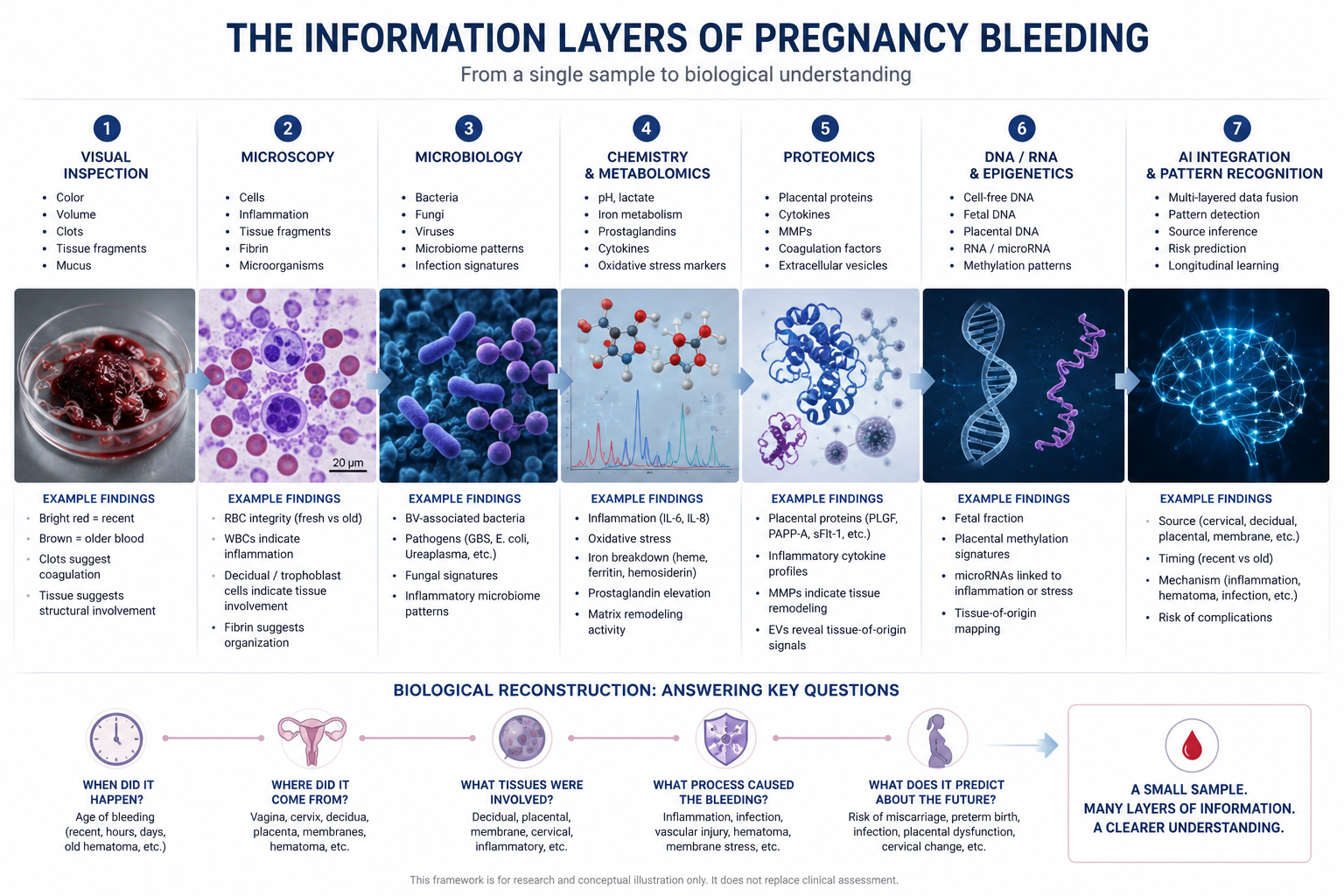 Information layers of pregnancy bleeding