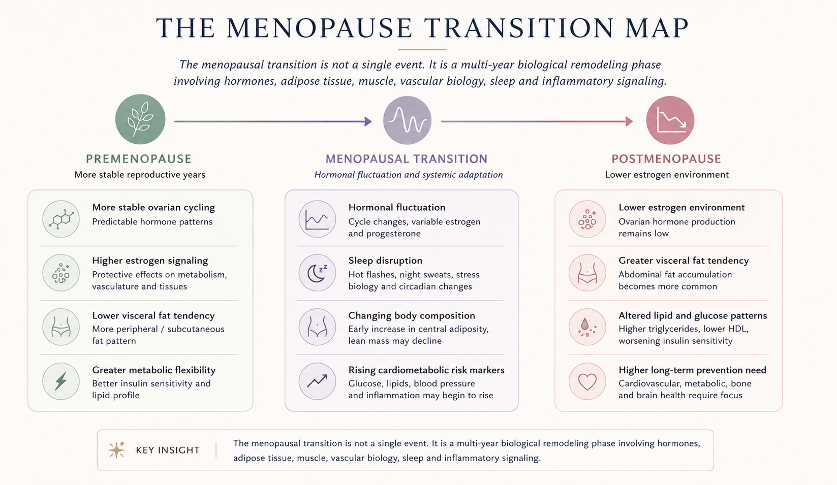 The menopause transition map